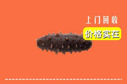 彬州市回收海参