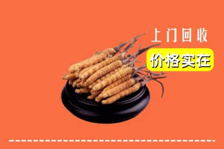 彬州市回收冬虫夏草